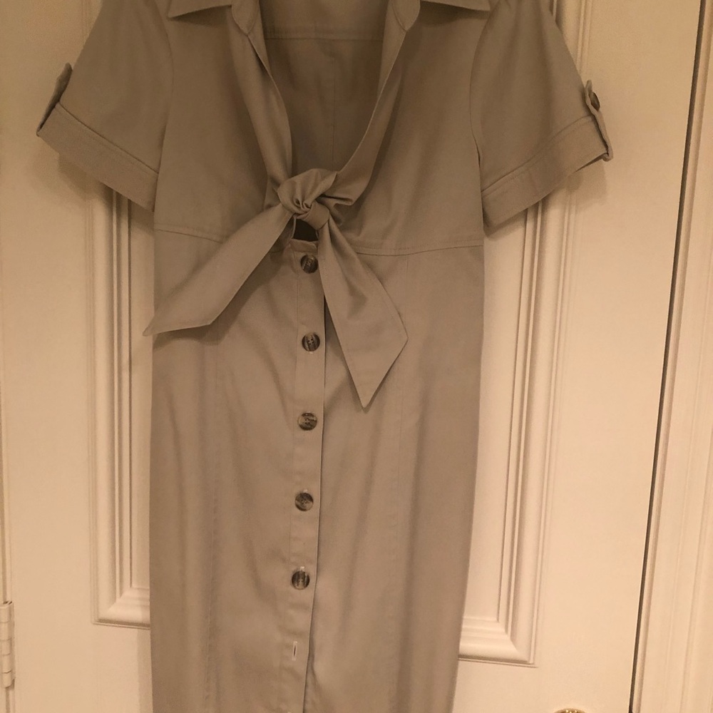 Bigio Collection Button Down Shirt Dress